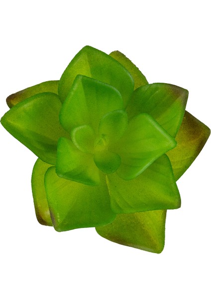 Yapay Mini Etli Echeveria Sukulent Açık Yeşil 8 cm