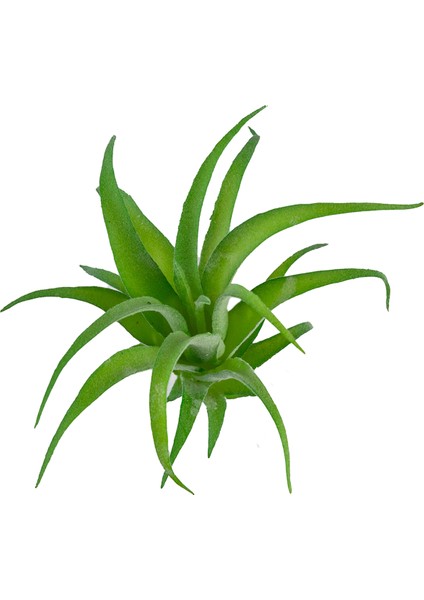 Yapay Tüylü Tillandsia Sukulent Açık Yeşil 17 cm