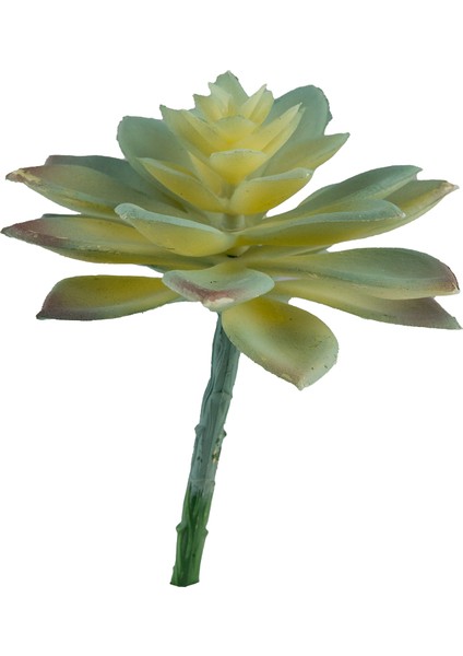Yapay Mini Etli Echeveria Sukulent Açık Yeşil 12 cm