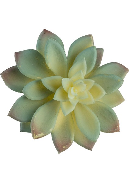 Yapay Mini Etli Echeveria Sukulent Açık Yeşil 12 cm