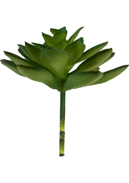 Yapay Mini Echeveria Sukulent Yeşil 8 cm