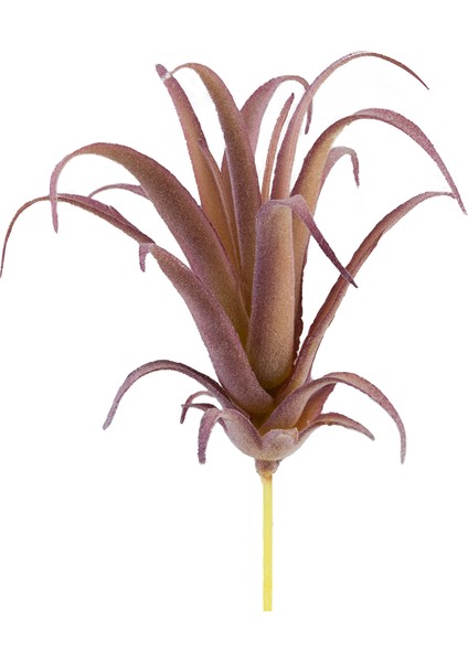 Yapay Tüylü Tillandsia Sukulent Lila 17 cm