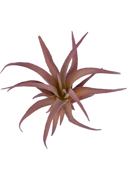 Yapay Tüylü Tillandsia Sukulent Lila 17 cm