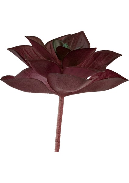 Yapay Mini Echeveria Sukulent Bordo 8 cm