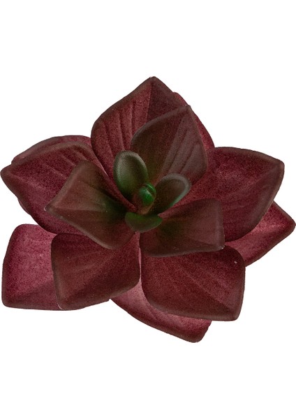Yapay Mini Echeveria Sukulent Bordo 8 cm