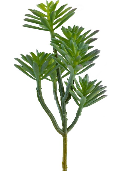 Yapay Sukulent Demeti Açık Yeşil 32 cm