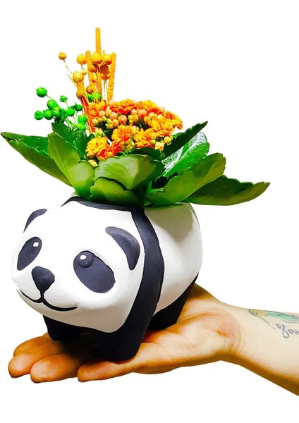 Seramik Panda Saksıda Canlı Kalanchoe Tasarımı Hediyelik Canlı İç Mekan Bitkileri Dekor Biblo