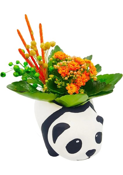 Seramik Panda Saksıda Canlı Kalanchoe Tasarımı Hediyelik Canlı İç Mekan Bitkileri Dekor Biblo