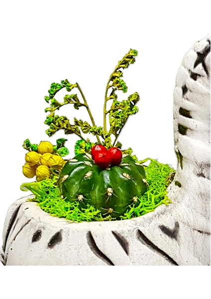 Kuru Çiçekli Kaktüs Zebra Seramik Saksıda Tasarım& Canlı Bitki & Hediyelik & Saksılı Kaktüs