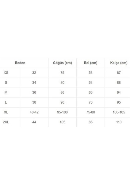 Powerskin R-Evo+ Ow Ob Kadın Mavi Yüzücü Yarış Mayosu 25108730 fiyatları