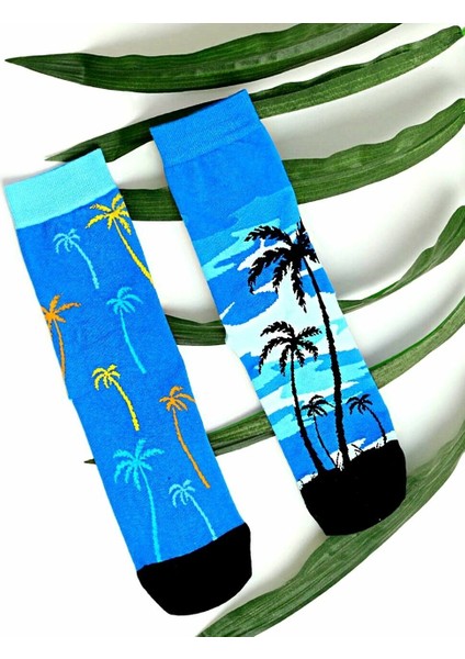 Teki Farklı Renkli Çorap Palmiye Hawaii Desenli