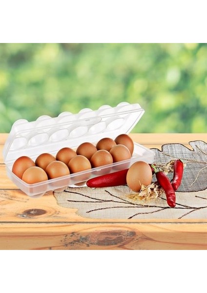 12LI Şeffaf Kapaklı Kilitli Yumurta Saklama Kabı Kutusu Aparatı