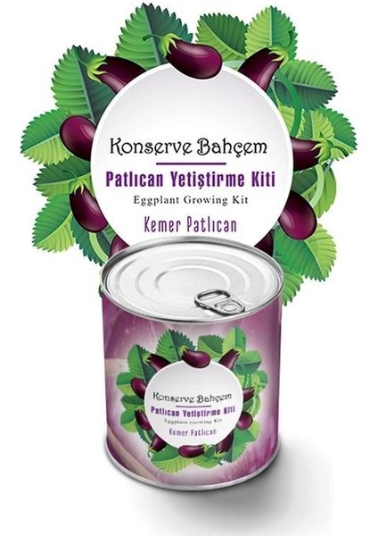 Konserve Bahçem Evde Konservede Kemer Patlıcanyetiştirme Kiti