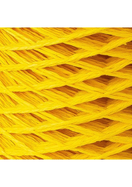 Paper Hardal Sarı Kağıt İpi - RH24 fiyatları