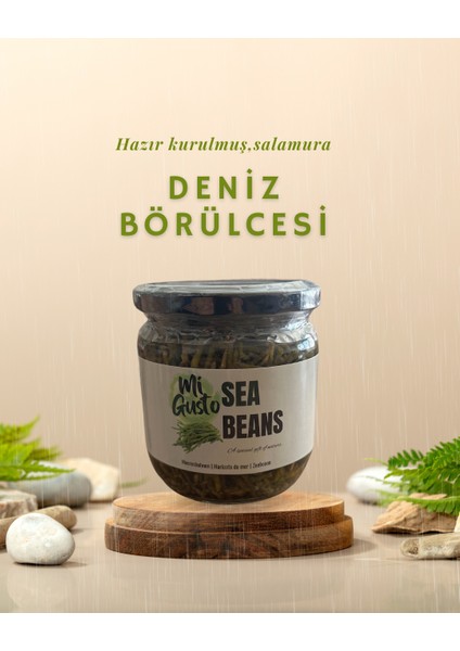 DENİZ BÖRÜLCESİ SALAMURA 450 cc