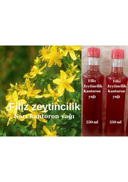 Sarı Kantoron Yağı