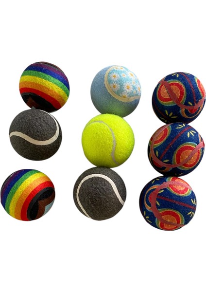 12LI Renkli Tenis Topu Desenli Antreman Topu