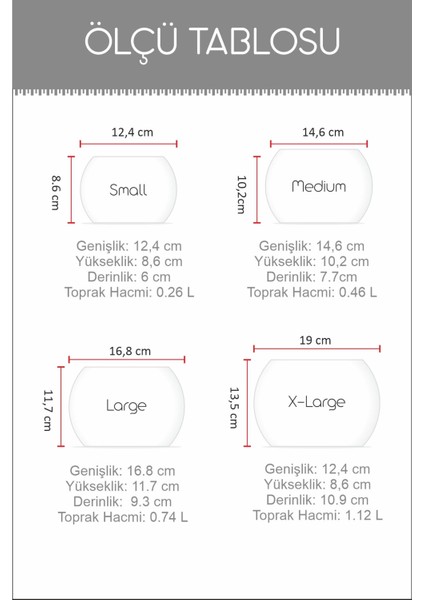 Moon LED Işıklı Küre Saksı – Gece Lambası Özellikli Dekoratif Saksı