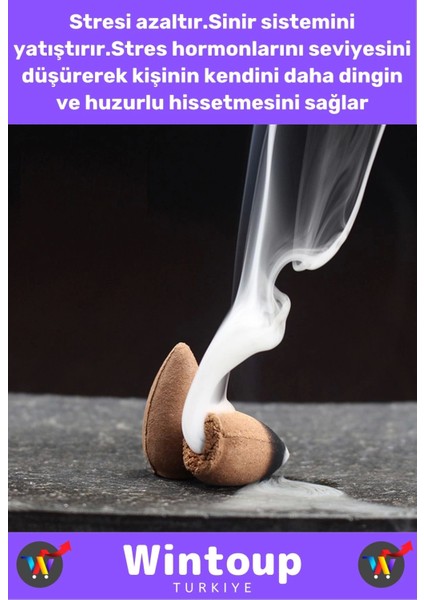 Premium Seri Kötü Koku Giderici Iyileştirici Meditasyon Yoga Chakra Pozitif Enerji Geri Akış Tütsü fiyatları