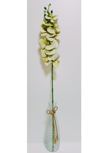 Yapay Dal Baskılı Islak Doku Orkide Çiçeği 88 cm Haki- Yeşil