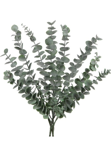 Şoklu Okaliptus Demeti (Yeşil) fiyatları
