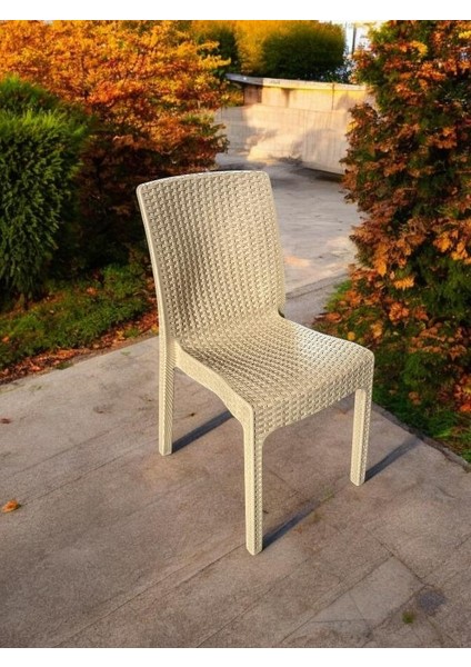 Kolsuz Rattan Sandalye fırsatları