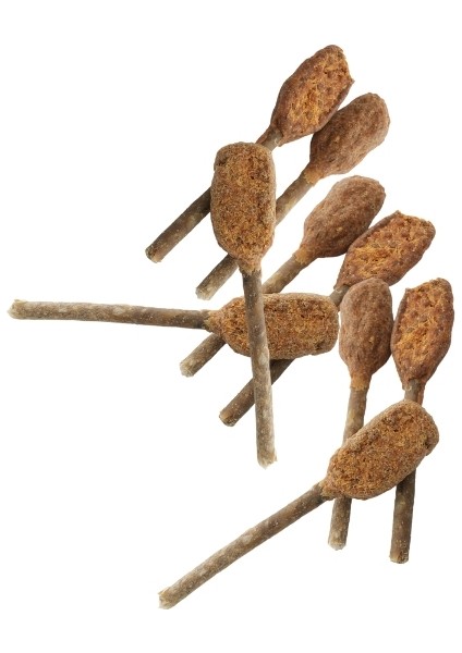 Lollipop Köpek Ödül Maması