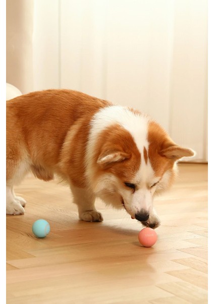 Evcil Hayvan Hareketli Kedi Köpek Oyuncağı Şarjlı Kedi Köpeğinizden Kaçar Oyuncak