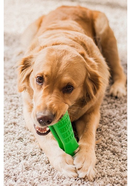 Büyük Boy Köpek Diş Fırçası Isırma Aparatı, Diş Kaşıma Oyuncağı, Sağlıklı Diş Bakımı Için