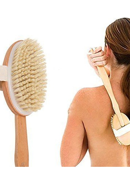 Çıkarılabilir Saplı At Kılı Fırçası - Doğal Selülit Fırçası ve Kullanışlı