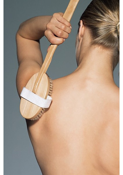 Çıkarılabilir Saplı At Kılı Fırçası - Doğal Selülit Fırçası ve Kullanışlı fırsatları