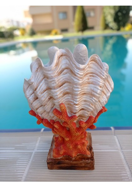 Mercanlı Deniz Kabuğu, Kaideli Mercanlı Deniz Kabuğu, Polyester Heykel
