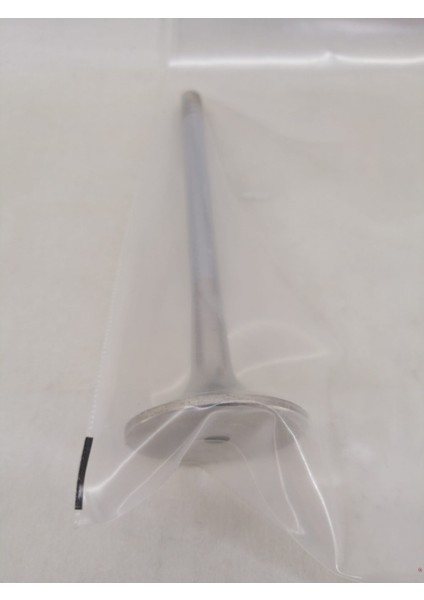 2177576-6 2177576/6 21775766 Intake Valve