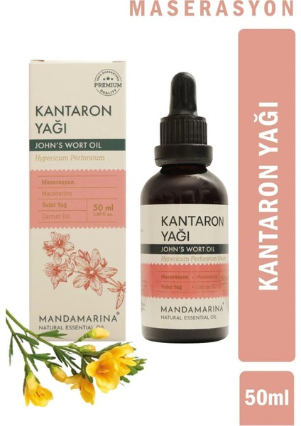 Kantaron Yağı 50 ml