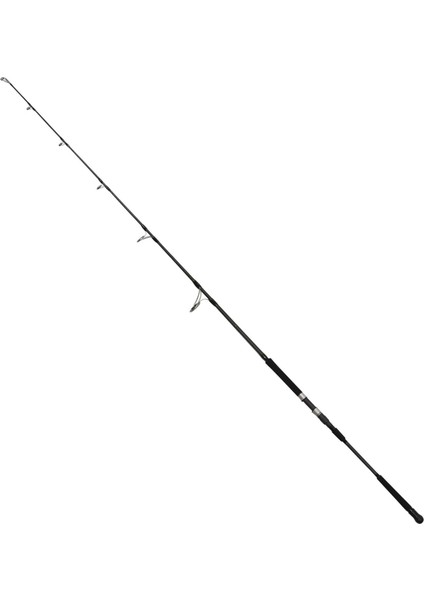 Deep Game 173 cm 100-300G Aksiyonlu Jig Kamışı