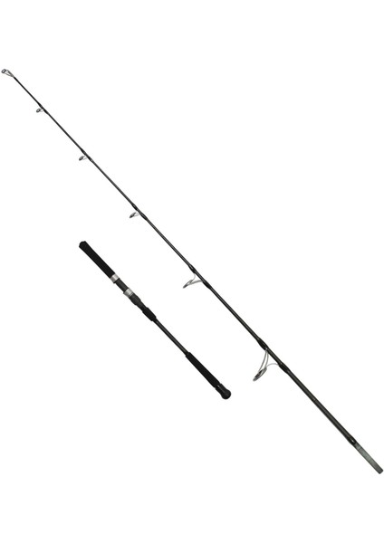 Deep Game 173 cm 100-300G Aksiyonlu Jig Kamışı