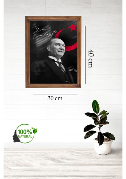 Özel Tasarım Atatürk Posteri fiyatları