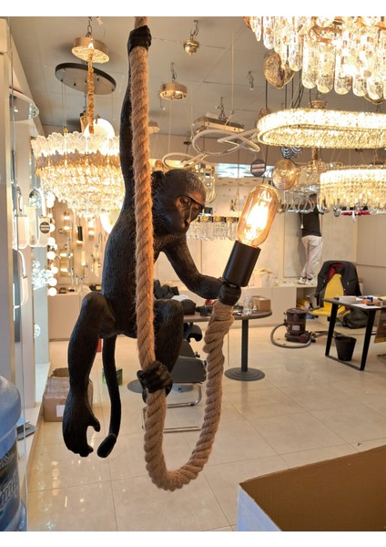 Maymun Avize Siyah Renk fiyatları