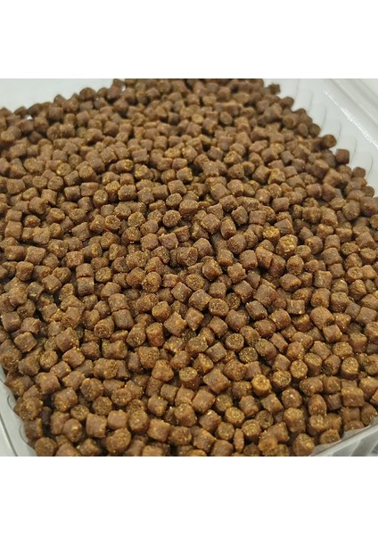 Avlivari 3 mm Alabalık-Sazan-Çupra-Levrek Pelet Yem 1000 Gram fiyatları