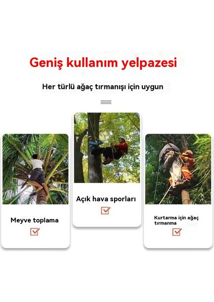 Ağaç Tırmanışı Için Paslanmaz Çelik Beş Pençe Kaymaz Ayak (Yurt Dışından)