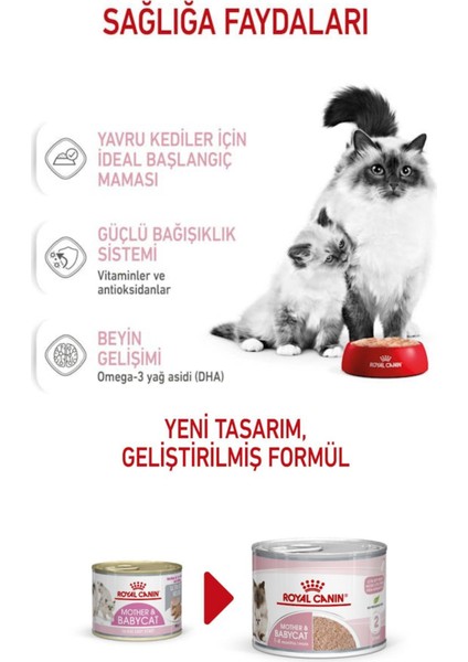 Mother And Baby Cat Yavru Kedi ve Hamile Kediler Için Konserve 195 x 4 Adet