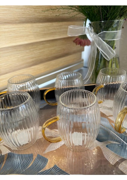 6'lı Gold Kulplu, Çizgili Cam Kupa Bardak fırsatları