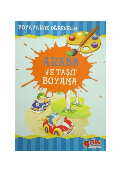 Araba ve Taşıt Boyama