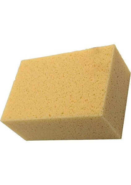 Doğal Sünger Kalıp