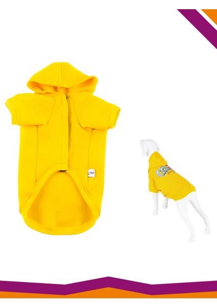Sweatshirt Köpek Cool Yellow Desenli Kıyafet