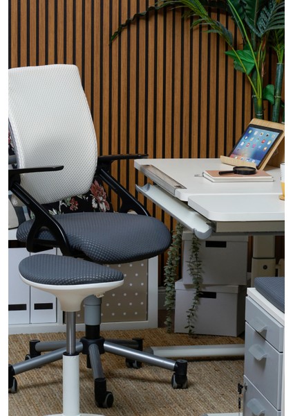 Kurumsal Çalışma Alanı İçin Ofis Sandalyesi - Taşıma kap. 120kg, Beyaz/Antrasit - Vega Plus fiyatları