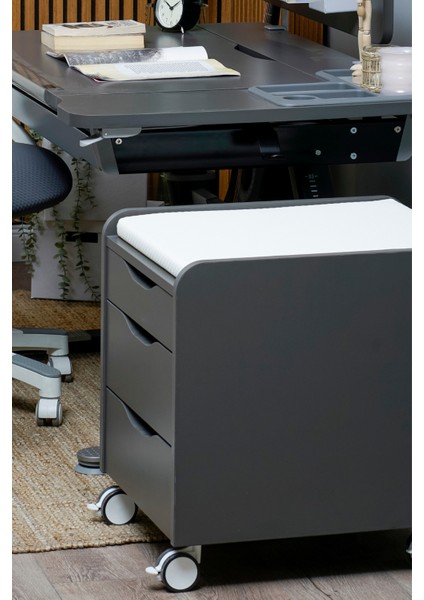 Home Ofis Tekerlekli Keson, Oturum Minderli - Taşıma kap. 100kg, Antrasit/Beyaz - Sirius fiyatları