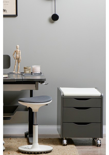 Home Ofis Tekerlekli Keson, Oturum Minderli - Taşıma kap. 100kg, Antrasit/Beyaz - Sirius modelleri