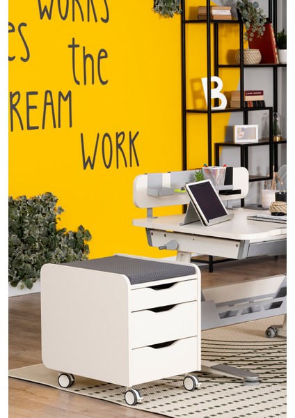 Kurumsal Ofis Tipi Tekerlekli Keson, Çekmeceli Keson - Taşıma kap. 100kg, Ekru/Antrasit - Sirius modelleri