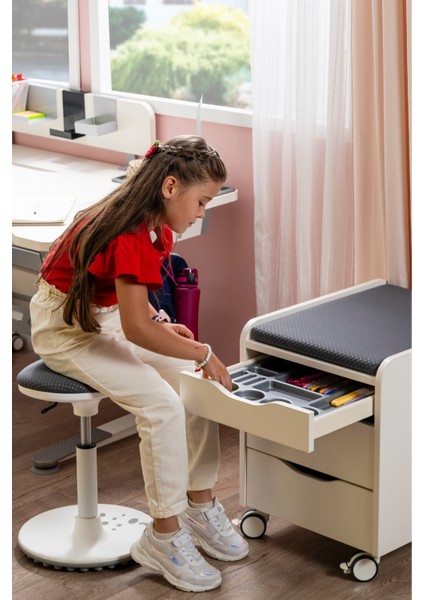 Kurumsal Ofis Tipi Tekerlekli Keson, Çekmeceli Keson - Taşıma kap. 100kg, Ekru/Antrasit - Sirius fırsatları